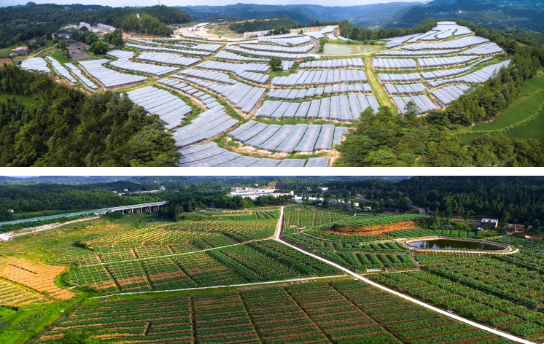 全力助推四川巴中恩陽(yáng)區(qū)委托招商引資，合力打造產(chǎn)業(yè)新城