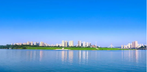 全力助推重慶潼南高新區(qū)委托招商引資，大力打造“6+1”產(chǎn)業(yè)集群！