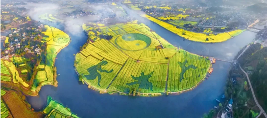 全力助推重慶潼南高新區(qū)委托招商引資，大力打造“6+1”產(chǎn)業(yè)集群！