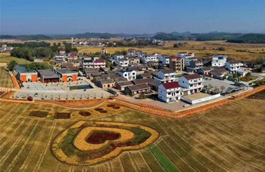 全力助推江西撫州金溪縣委托招商引資，加快建設現(xiàn)代生態(tài)產(chǎn)業(yè)新城