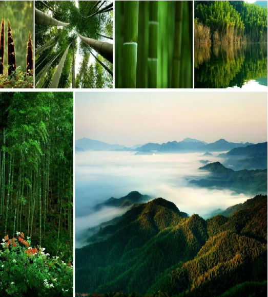 集團(tuán)全力助推江西撫州資溪縣委托招商引資，加速創(chuàng)建生態(tài)旅游強(qiáng)縣