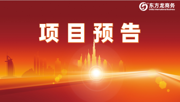 節后對接工作準備就緒！已有28家優質投資選址企業確認對接全國政府園區