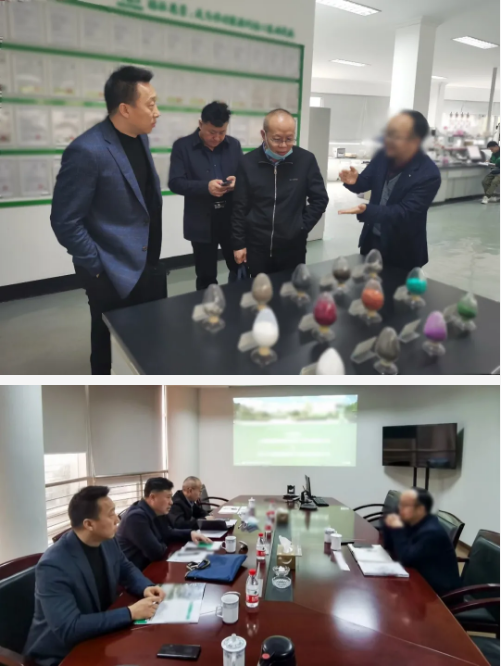 精準契合，提升實效！集團成功助推3家優質投資選址企業對接地方政府