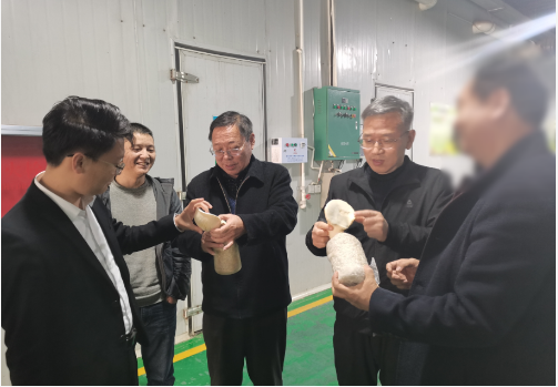 合作邁出堅實一步！集團推進3家優質投資選址企業精準對接地方政府
