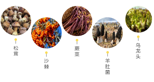 【甘南政府招商推介】立足生態(tài)優(yōu)勢，推動綠色發(fā)展，打造青藏高原上的生態(tài)文明高地