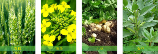 【甘南政府招商推介】立足生態(tài)優(yōu)勢，推動綠色發(fā)展，打造青藏高原上的生態(tài)文明高地