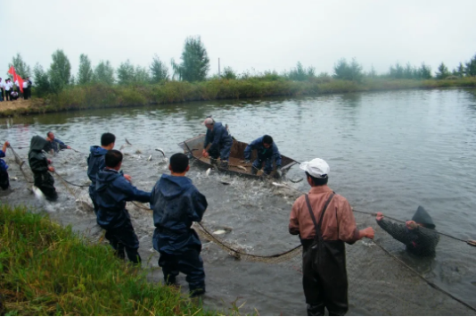 集團(tuán)全力助推黑龍江大慶肇源縣委托招商引資，挖掘多元化產(chǎn)業(yè)融合發(fā)展新動(dòng)能