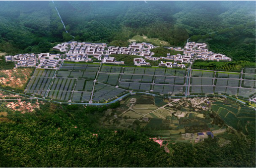 集團全力助推福建寧德周寧縣委托招商引資，強化特色產業實力，為全縣高質量發展增添新動力