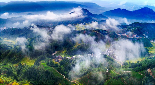 集團全力助推福建寧德周寧縣委托招商引資，強化特色產業實力，為全縣高質量發展增添新動力