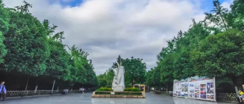 集團全力助推四川南充營山縣委托招商引資，加快產業融合發展，為打造經濟強縣助力