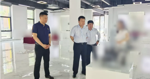 同步協調，高效推進！集團成功助推5家優質投資選址企業對接地方政府
