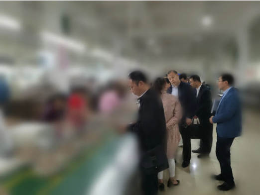 瞄準靶心，精準發力！河北某地方政府成功對接考察亞洲500強鞋服品牌投資選址項目企業
