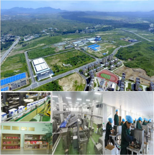 集團全力助推河北阜平經濟開發區委托招商引資，攜手打造多元化產業集群