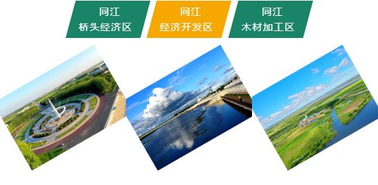 集團全力助推黑龍江省佳木斯市同江市委托招商引資，立足八大優勢，構筑發展新格局