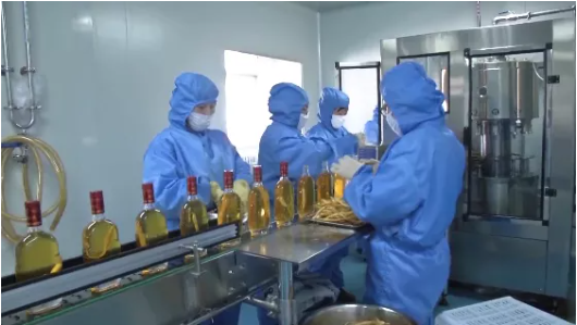 集團全力助推吉林省通化市輝南縣委托招商引資，做大做強四大特色產業集群