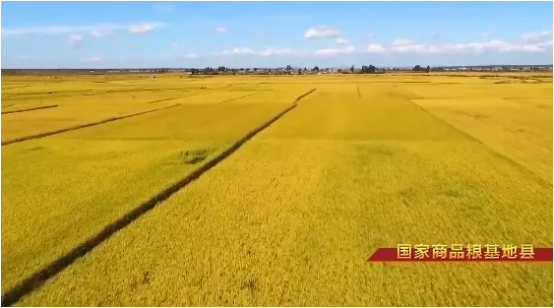 集團全力助推吉林省通化市輝南縣委托招商引資，做大做強四大特色產業集群