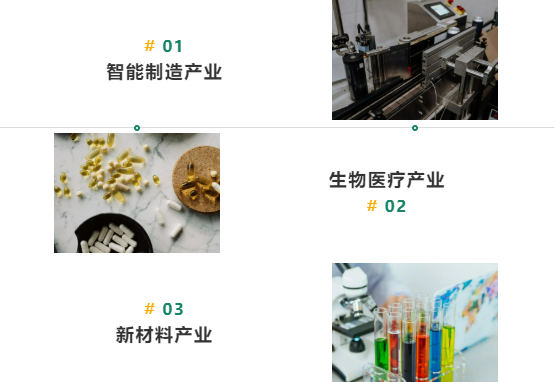 集團全力助推山東臨沂綜合保稅區委托招商引資，搶抓發展機遇，突出打造三大特色產業集群