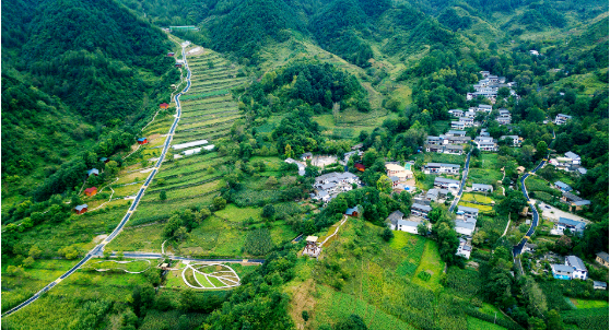 集團全力助推甘肅隴南康縣委托招商引資，以綠色發展推動鄉村振興