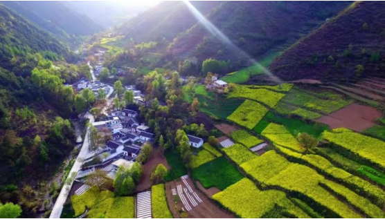 集團全力助推甘肅隴南康縣委托招商引資，以綠色發展推動鄉村振興