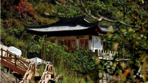 集團全力助推甘肅隴南康縣委托招商引資，以綠色發展推動鄉村振興