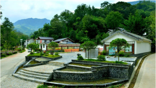 集團全力助推甘肅隴南康縣委托招商引資，以綠色發展推動鄉村振興
