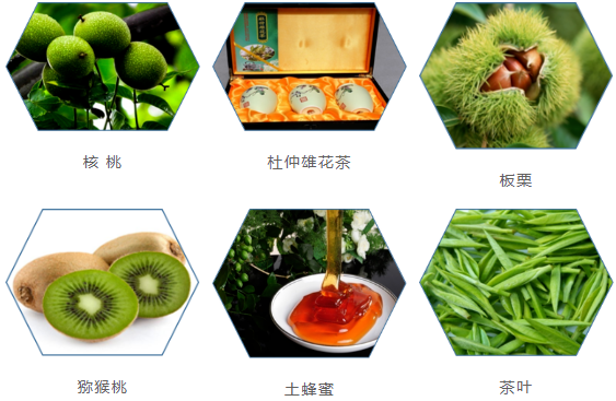 集團全力助推甘肅隴南康縣委托招商引資，以綠色發展推動鄉村振興