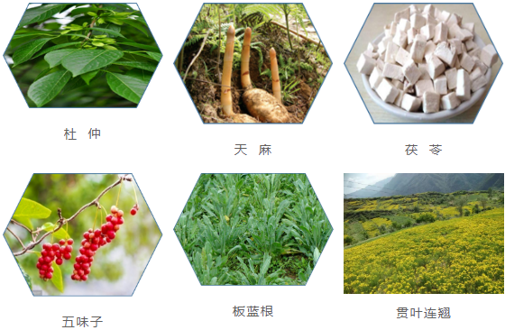 集團全力助推甘肅隴南康縣委托招商引資，以綠色發展推動鄉村振興