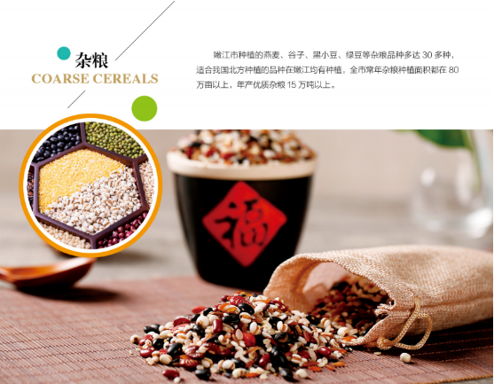 集團(tuán)全力助推黑龍江嫩江市委托招商引資，以6大優(yōu)勢助推地方產(chǎn)業(yè)高質(zhì)量發(fā)展