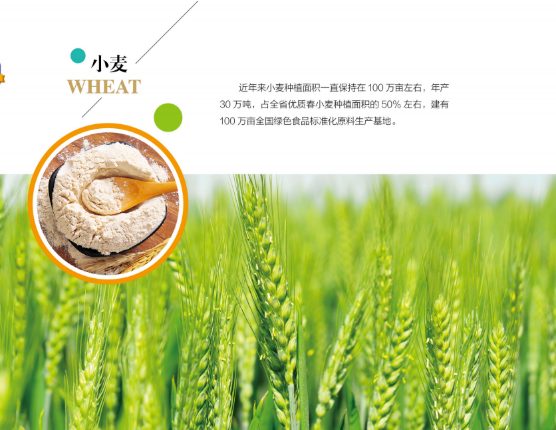集團(tuán)全力助推黑龍江嫩江市委托招商引資，以6大優(yōu)勢助推地方產(chǎn)業(yè)高質(zhì)量發(fā)展