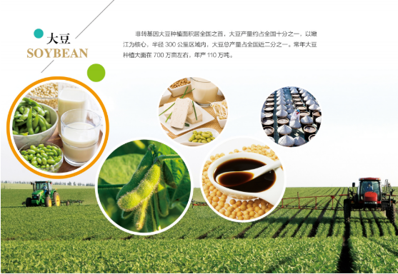 集團(tuán)全力助推黑龍江嫩江市委托招商引資，以6大優(yōu)勢助推地方產(chǎn)業(yè)高質(zhì)量發(fā)展