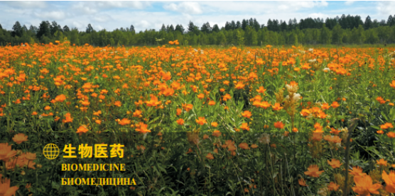 集團全力助推黑龍江大興安嶺委托招商引資，聚力將“冷資源”轉化為“熱經濟”！