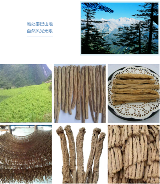 東方龍商務(wù)集團(tuán)全力助推甘肅隴南文縣委托招商招商引資，重點(diǎn)構(gòu)建特色農(nóng)業(yè)、優(yōu)勢(shì)工業(yè)、文旅康養(yǎng)三大產(chǎn)業(yè)集群