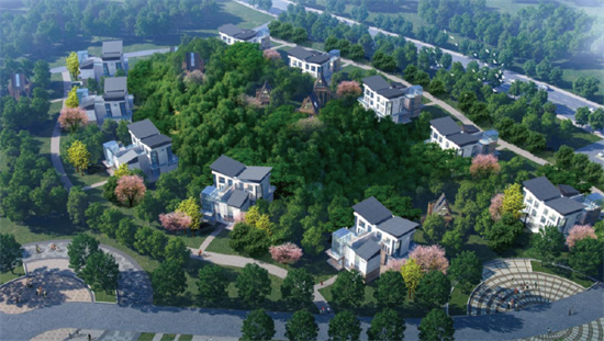 集團(tuán)全力助推湖南吉首市委托招商招商引資，打造產(chǎn)業(yè)發(fā)展新地標(biāo)