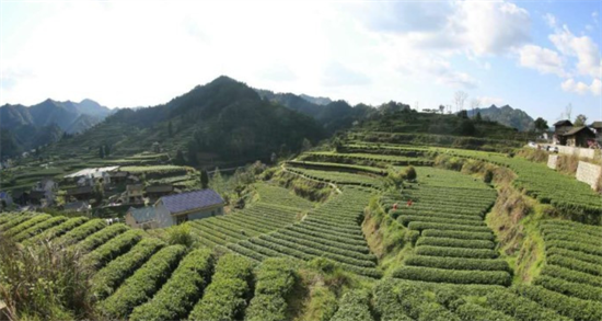 集團(tuán)全力助推湖南吉首市委托招商招商引資，打造產(chǎn)業(yè)發(fā)展新地標(biāo)