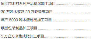集團(tuán)全力助推黑龍江省同江市委托招商引資，充分挖掘開發(fā)潛能，再次綻放邊陲魅力