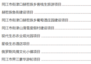 集團(tuán)全力助推黑龍江省同江市委托招商引資，充分挖掘開發(fā)潛能，再次綻放邊陲魅力