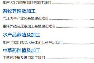 集團(tuán)全力助推黑龍江省同江市委托招商引資，充分挖掘開發(fā)潛能，再次綻放邊陲魅力