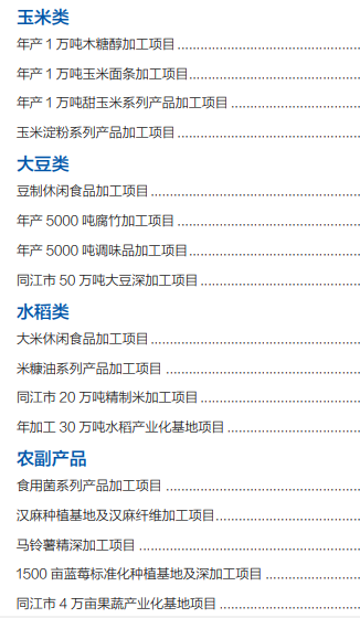 集團(tuán)全力助推黑龍江省同江市委托招商引資，充分挖掘開發(fā)潛能，再次綻放邊陲魅力