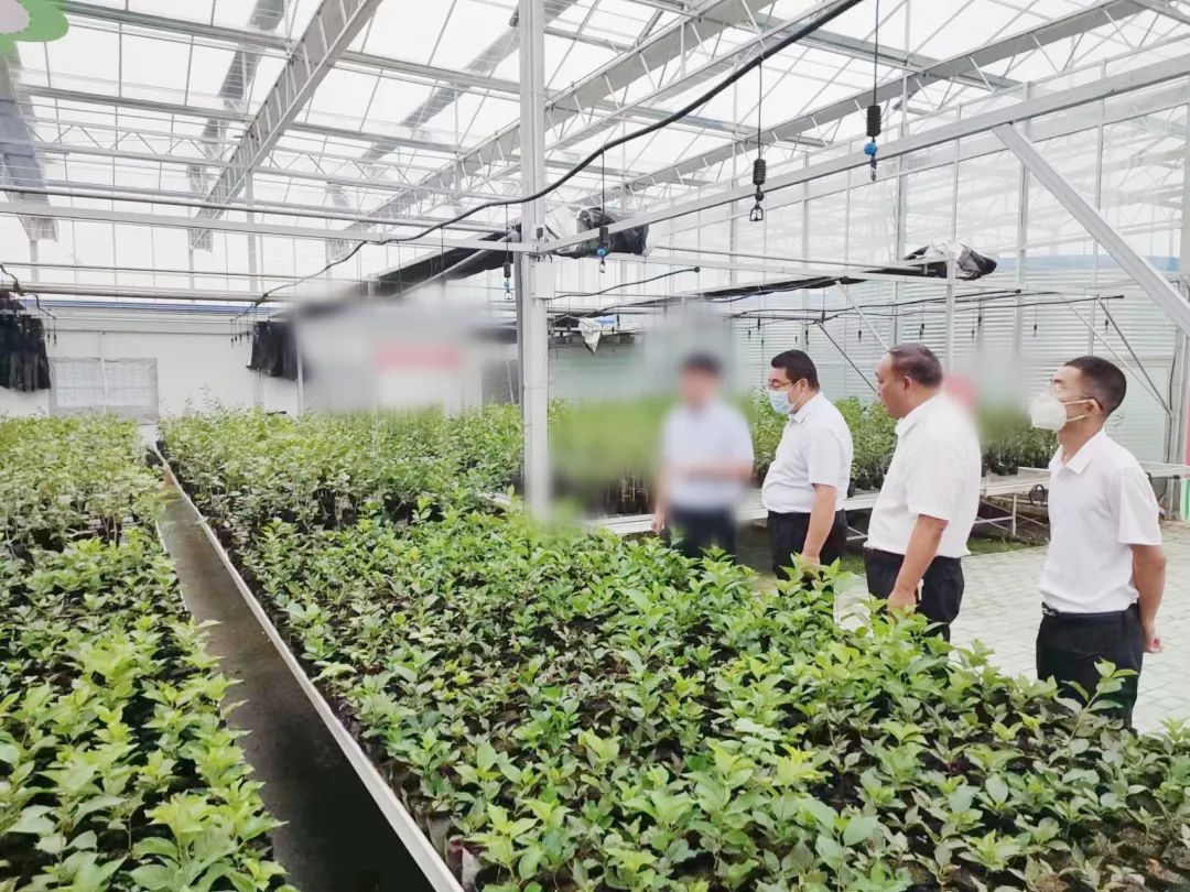 創新農業科技，培育發展動能！甘肅某地方政府考察智慧農業基地投資選址項目