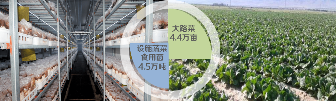 集團(tuán)全力助推陜西淳化縣委托招商引資，激發(fā)產(chǎn)業(yè)新活力，培育發(fā)展新動能！