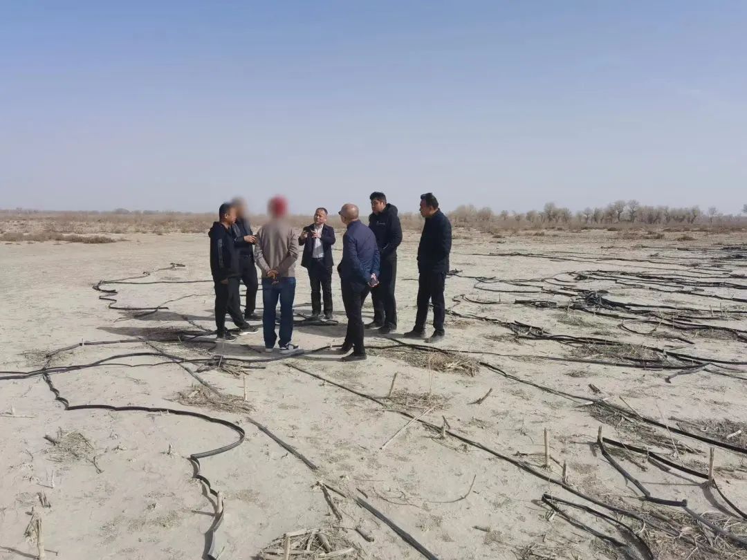 用時僅17天，投資額10億！新疆某地方政府與肉羊養殖加工產業投資選址項目成功簽訂投資協議