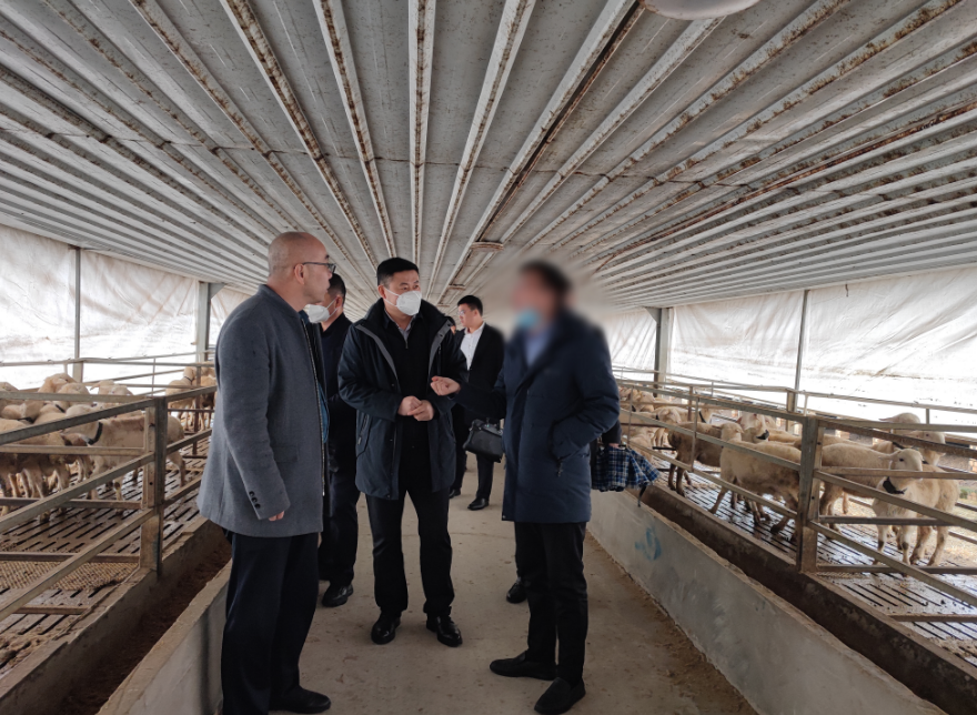 用時僅17天，投資額10億！新疆某地方政府與肉羊養殖加工產業投資選址項目成功簽訂投資協議