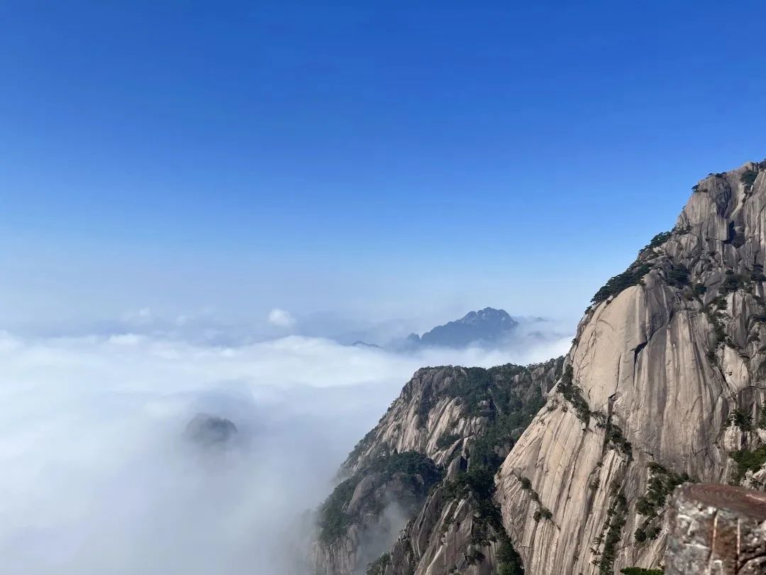 東方龍商務(wù)與春天有個約會！集團(tuán)100余人赴安徽黃山“團(tuán)建”，太嗨了！“奔跑二季度”——我們準(zhǔn)備好了！