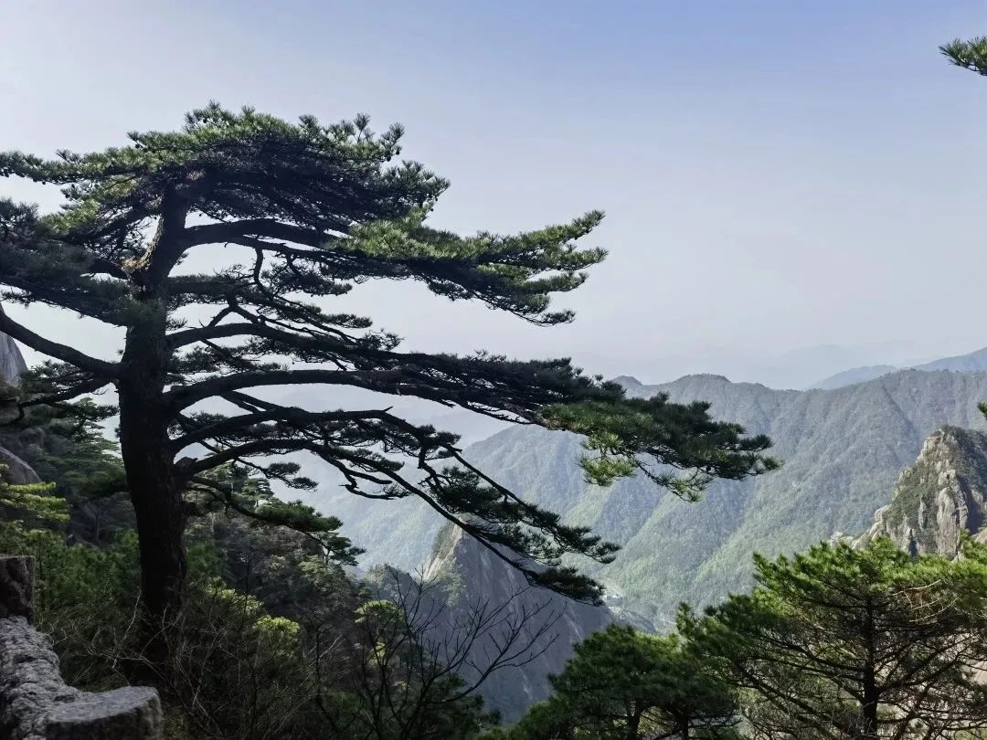東方龍商務(wù)與春天有個約會！集團(tuán)100余人赴安徽黃山“團(tuán)建”，太嗨了！“奔跑二季度”——我們準(zhǔn)備好了！