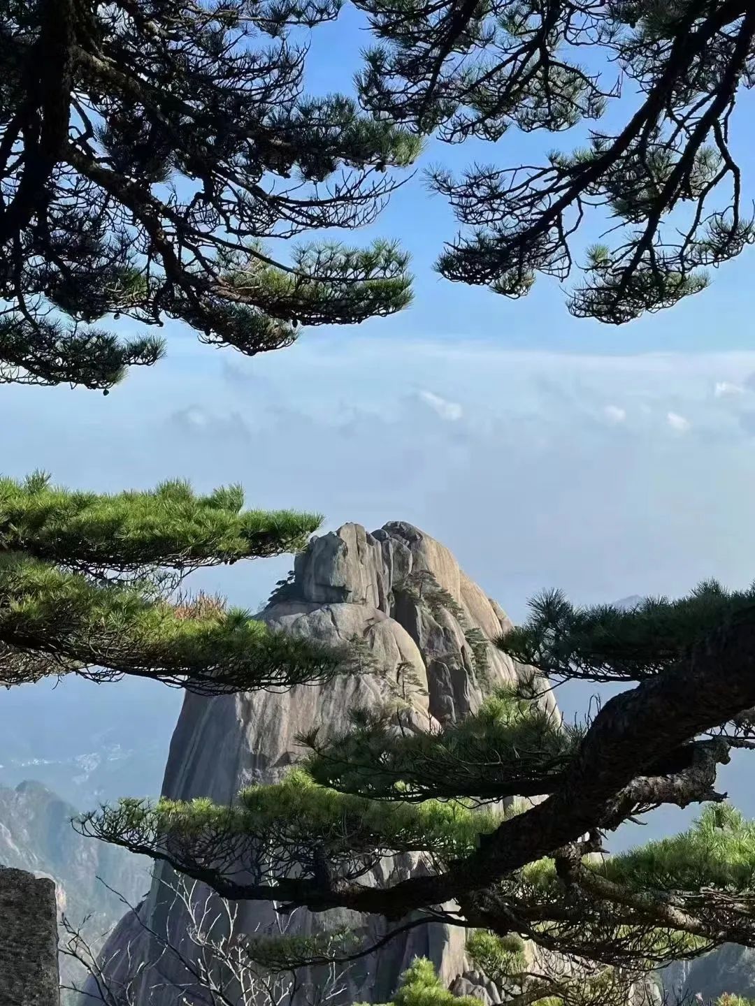 東方龍商務(wù)與春天有個約會！集團(tuán)100余人赴安徽黃山“團(tuán)建”，太嗨了！“奔跑二季度”——我們準(zhǔn)備好了！