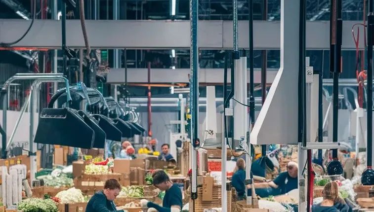 農業產業化國家重點龍頭企業，年銷售規模超百億！甘肅某地方政府實地對接知名農業物流配送擴建投資選址項目
