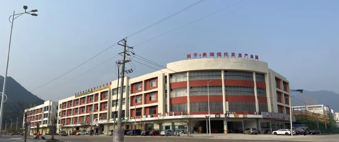 集團全力助推廣西賀州昭平縣委托招商引資，助力產業(yè)蝶變升級！