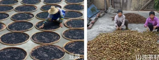 集團全力助推廣西賀州昭平縣委托招商引資，助力產業(yè)蝶變升級！
